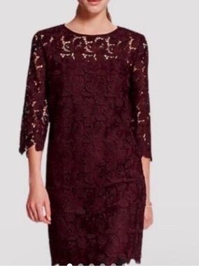Loft Women’s Burgundy DeepPurple Lace Shift Knee Length Dress  3/4 Sleeve Size 8